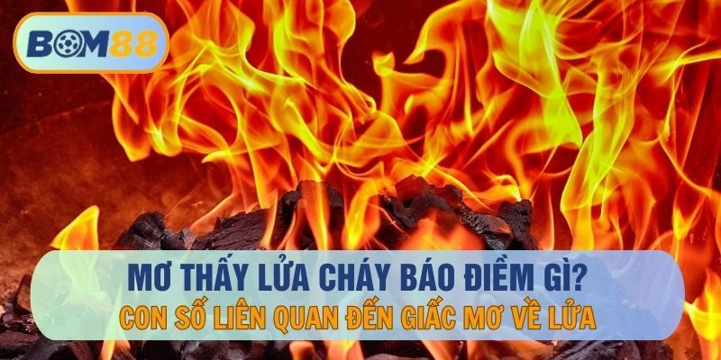 BOM88 Mơ thấy lửa cháy tốt hay xấu? Đánh con gì khi mơ thấy lửa tại nhà cái BOM88 ?