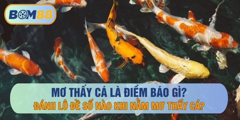 BOM88 Mơ thấy cá là hên hay là xui? - Giải Mã Giấc Mơ BOM88