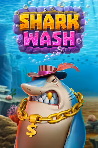 BOM88 Shark Wash